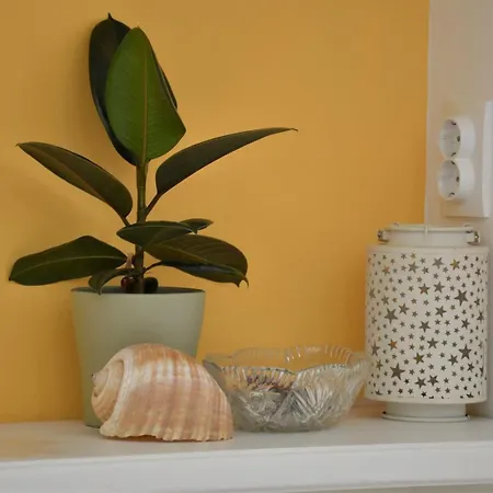 Villa Beachfront Gradina